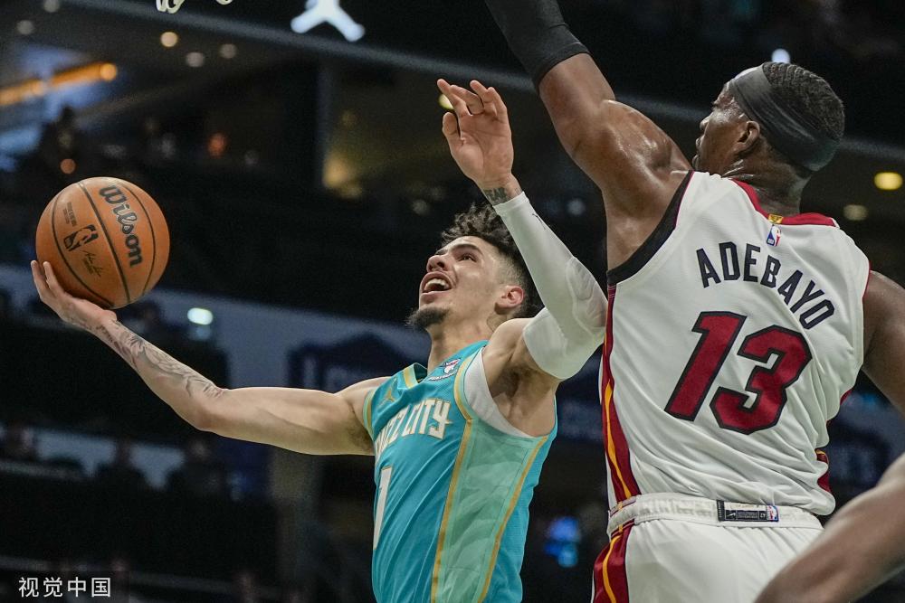 灰熊近年来 灰熊近年来