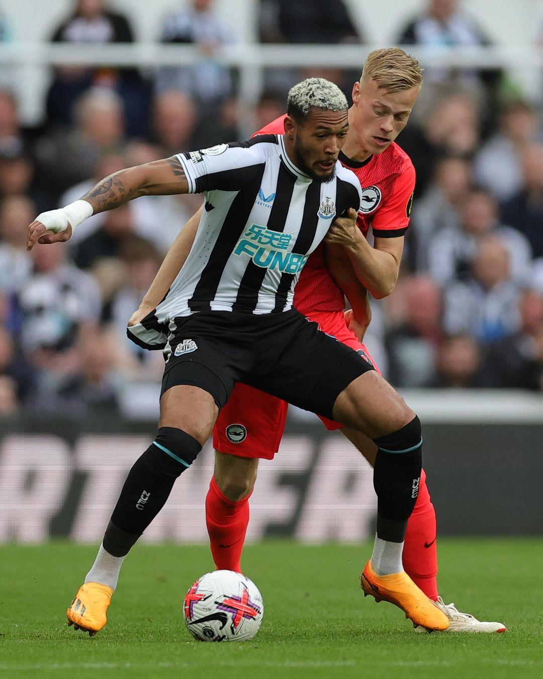 他利用自己 他利用自己